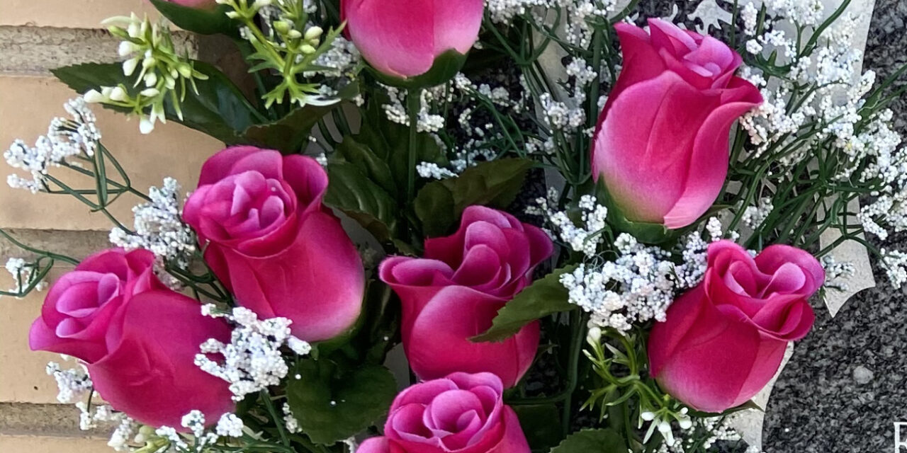 Sobrevives cuando anulas el corazón, la llaga, y amortiguas el recuerdo.